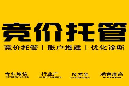 百度SEO推广公司案例汇编：实战技巧全解析